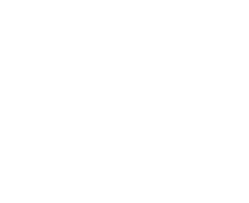 logo Wolfi's Bike